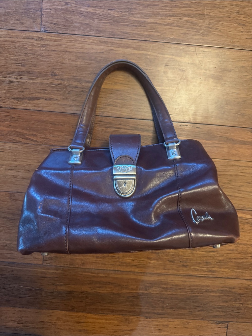 Consuela Dark Brown Leather Shoulder Bag with Silver Hardware